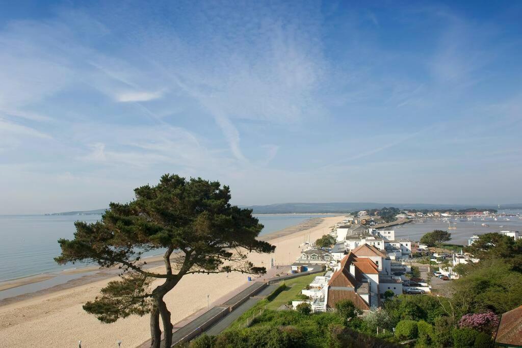 Bournecoast: Lovely Annex With Patio Nr Beach-5286 Appartamento Bournemouth